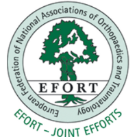 logo_efort logo_efort